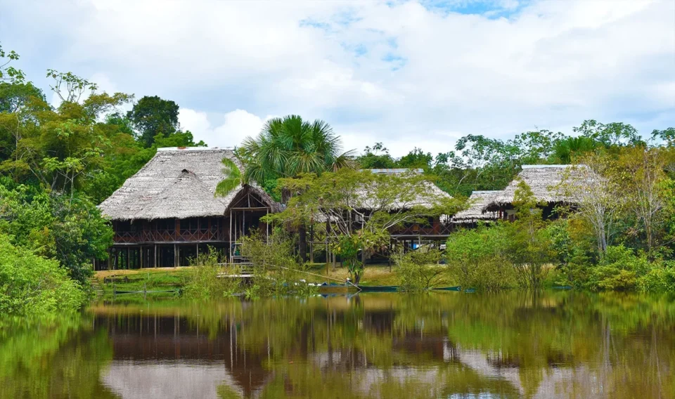 Photo courtesy Amazonia Expeditions, www.perujungle.com