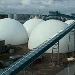Estonia Domes 2