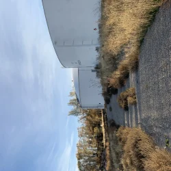 IMG 3937