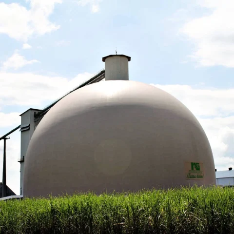 Magdalena Sugar Mill - Sugar Bulk Storage